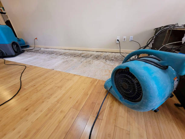 Professional Water Damage Repair technician working in Cottage Hills, IL